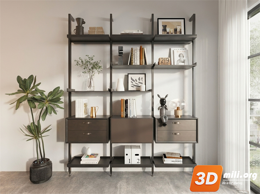 Bookcase Skp Files